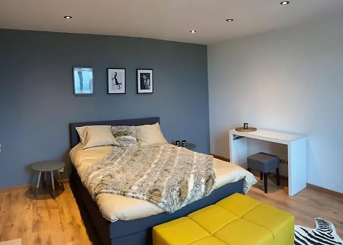 度假居 La Maison Blanche 那慕尔